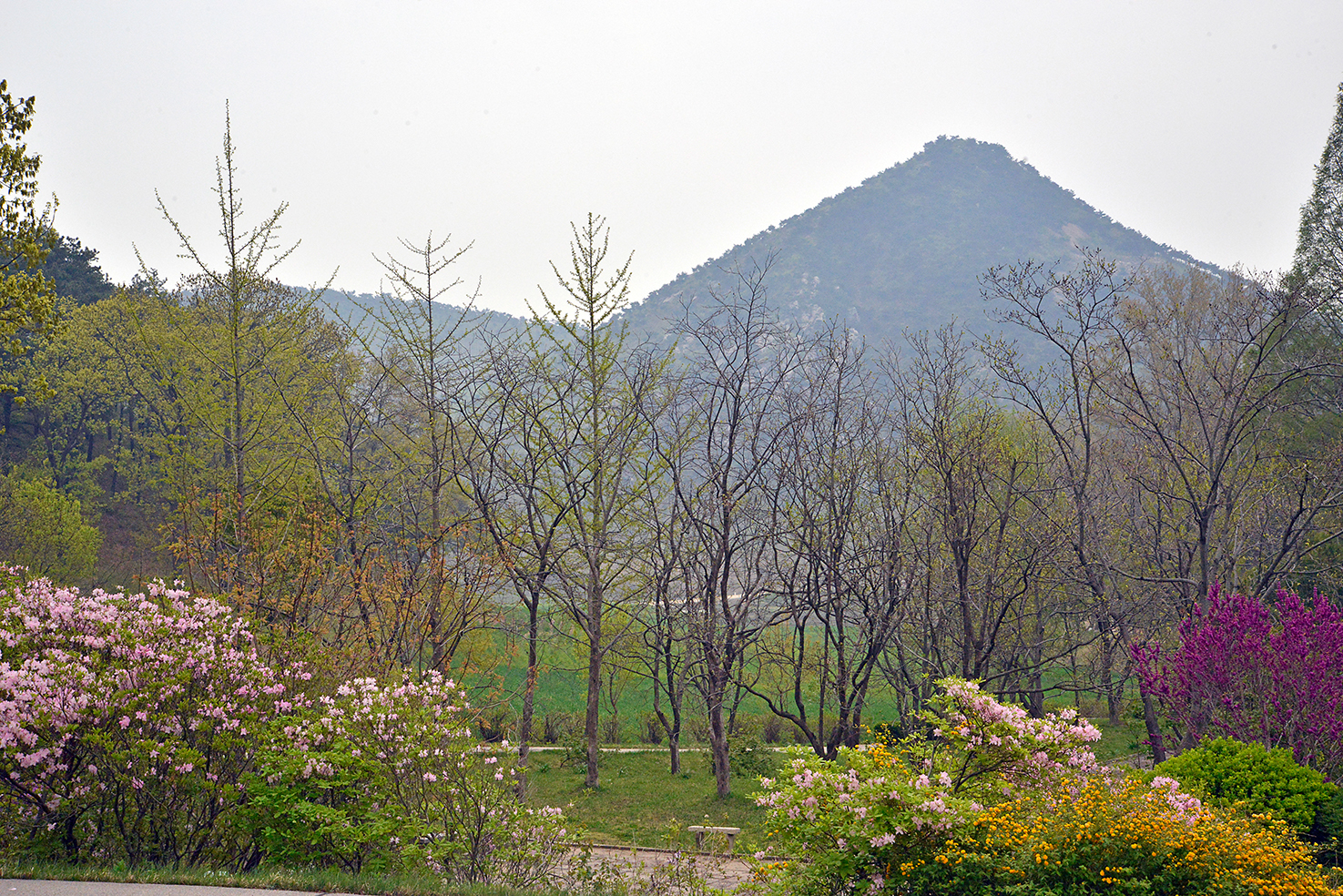 40 Kaesong