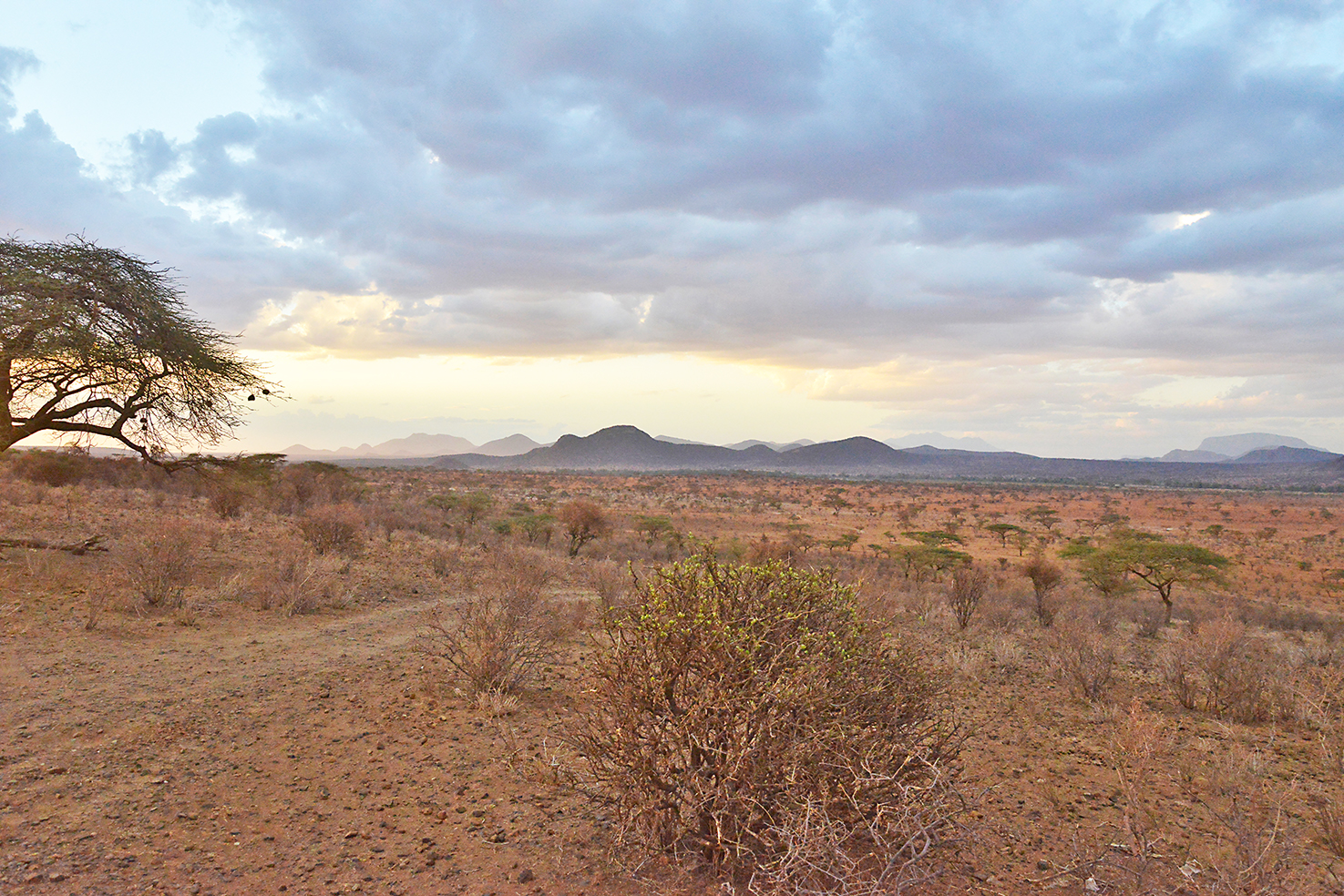 096 Samburu