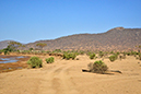 157 Samburu