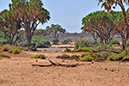 183 Samburu