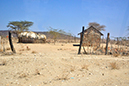 207 Samburu
