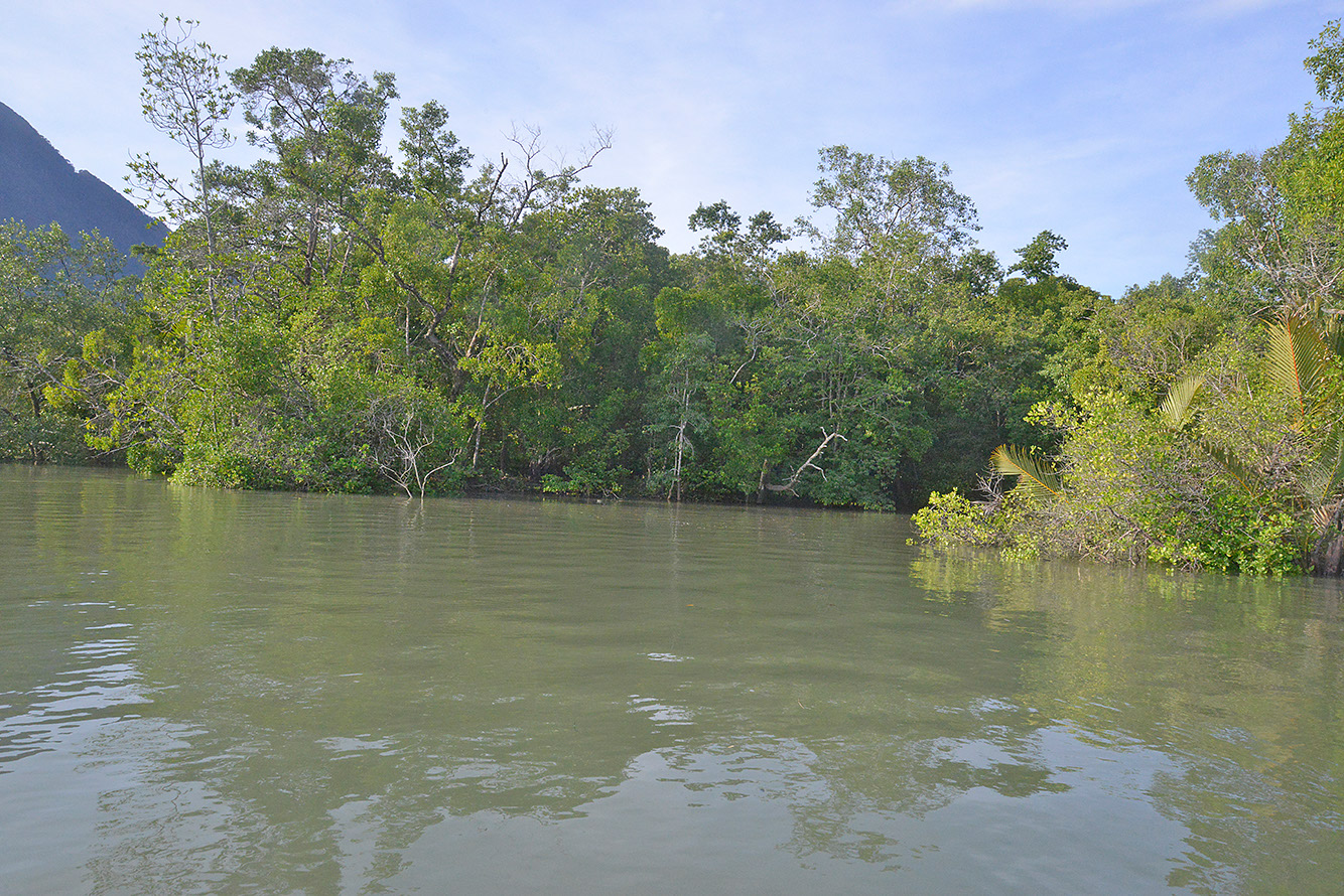 10 Santubong River