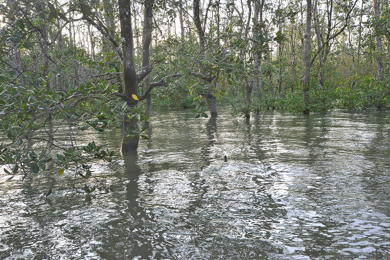 41 Santubong River