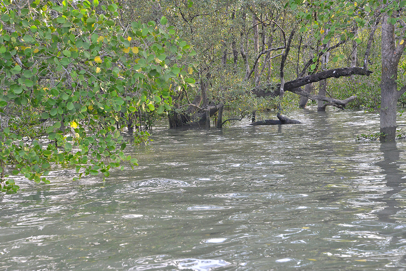 32 Santubong River