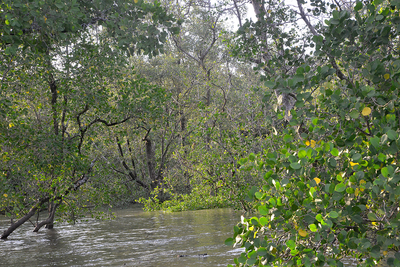 27 Santubong River