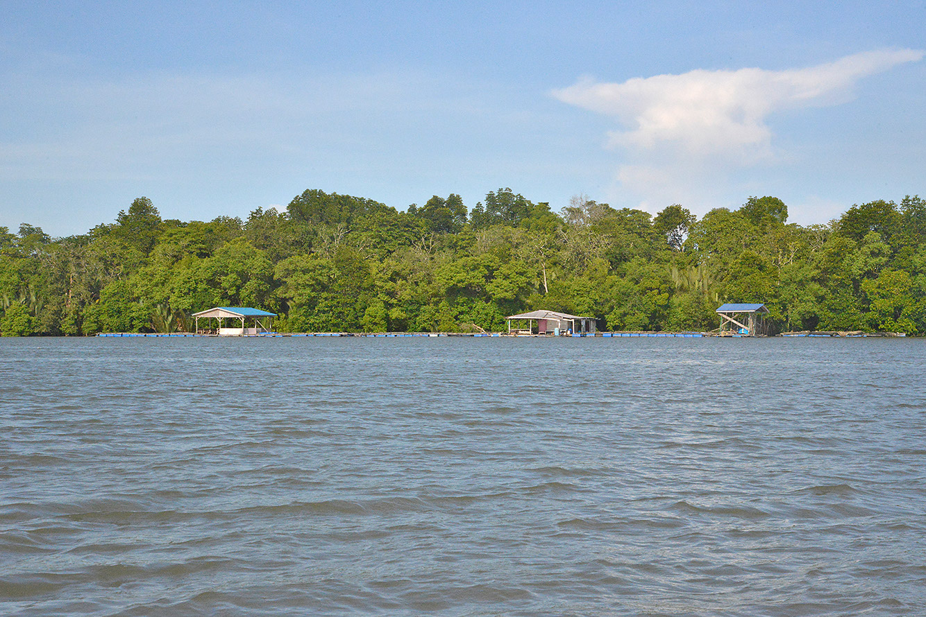 06 Santubong River