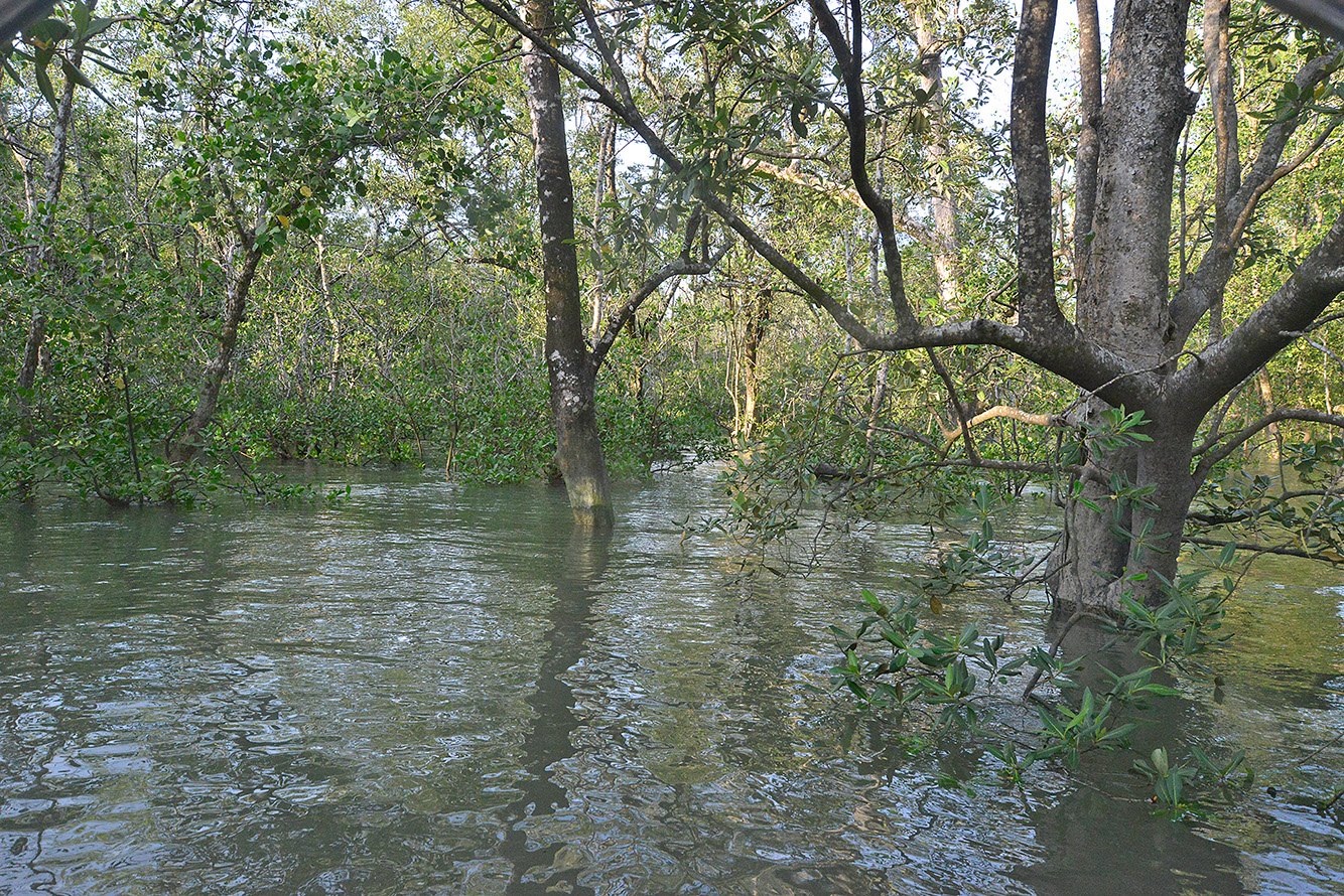 29 Santubong River