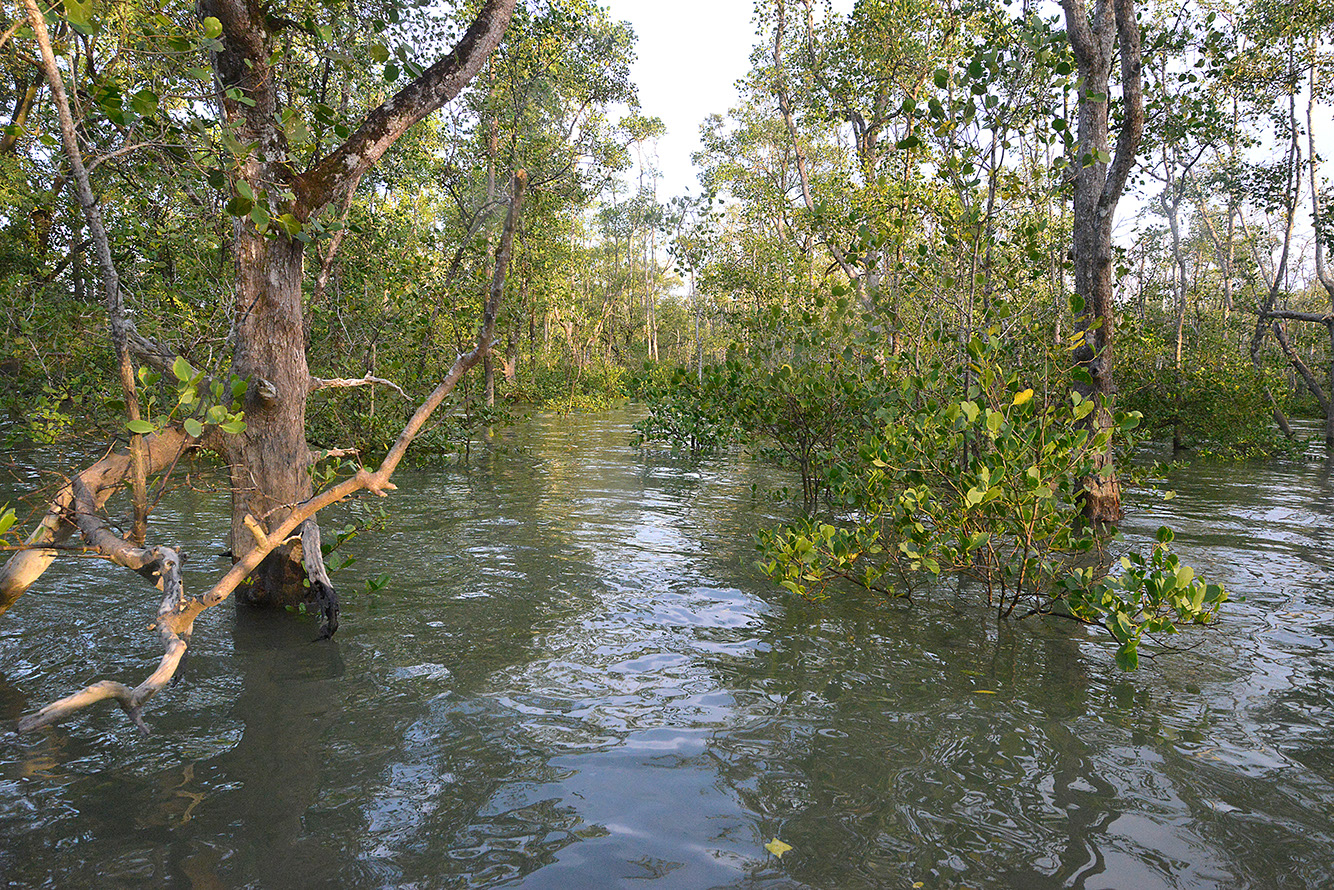37 Santubong River
