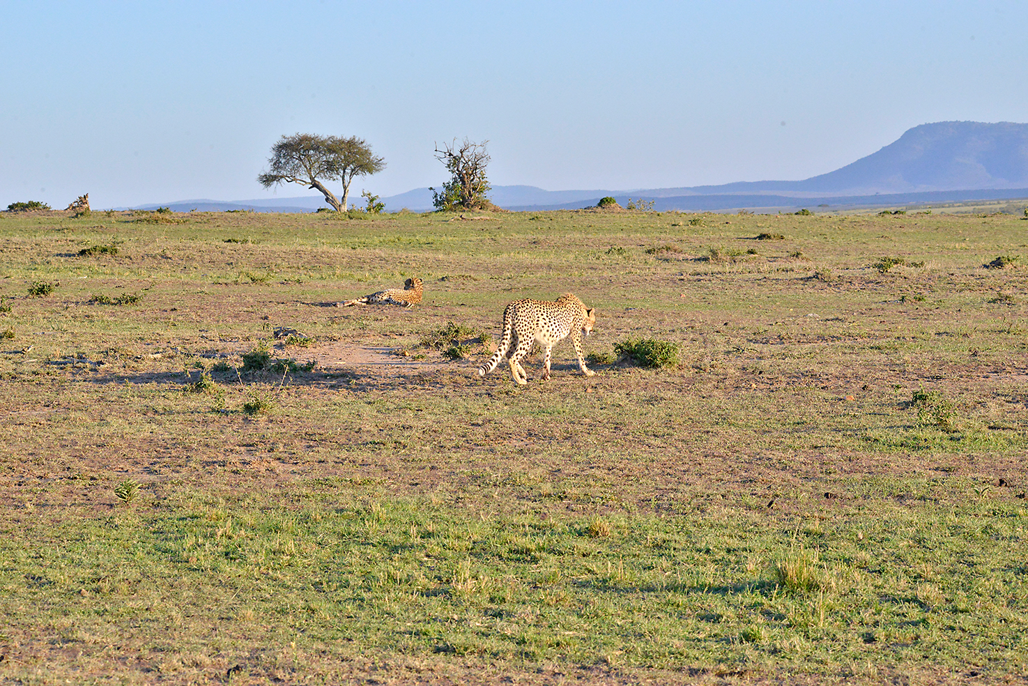 046 Masai Mara 1