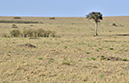 074 Masai Mara 1