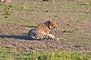 043 Masai Mara 1