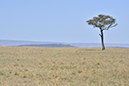 144 Masai Mara 1