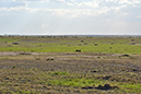 032 Masai Mara 1