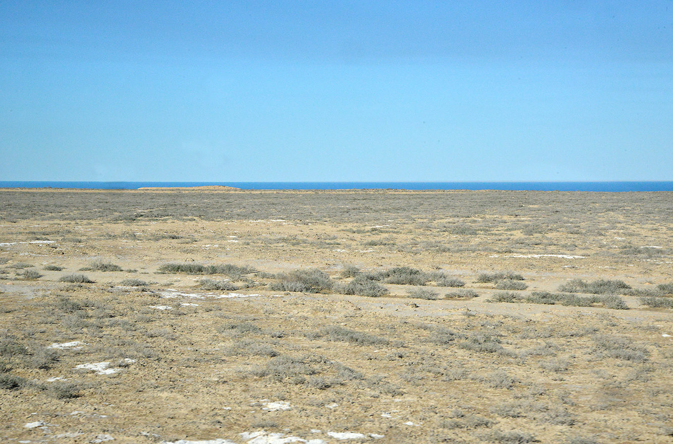 60 Till Aral