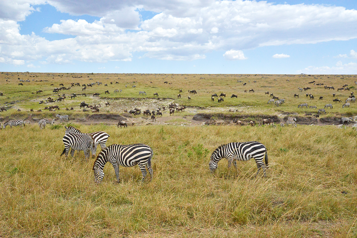 120 Masai Mara 2