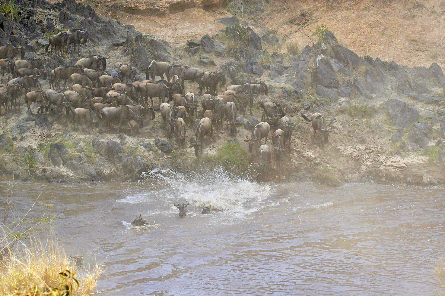 071 Masai Mara 2