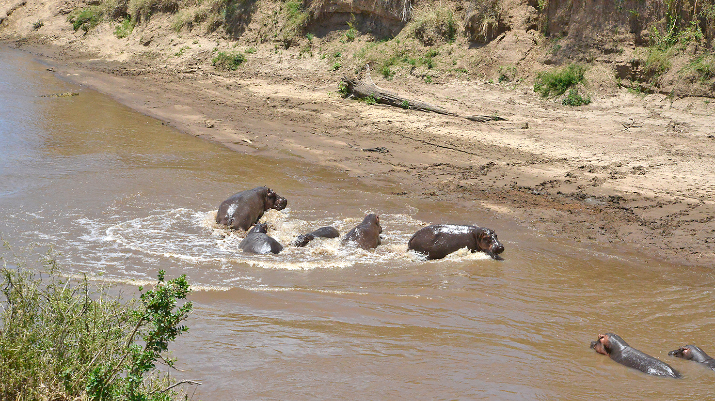 049 Masai Mara 2