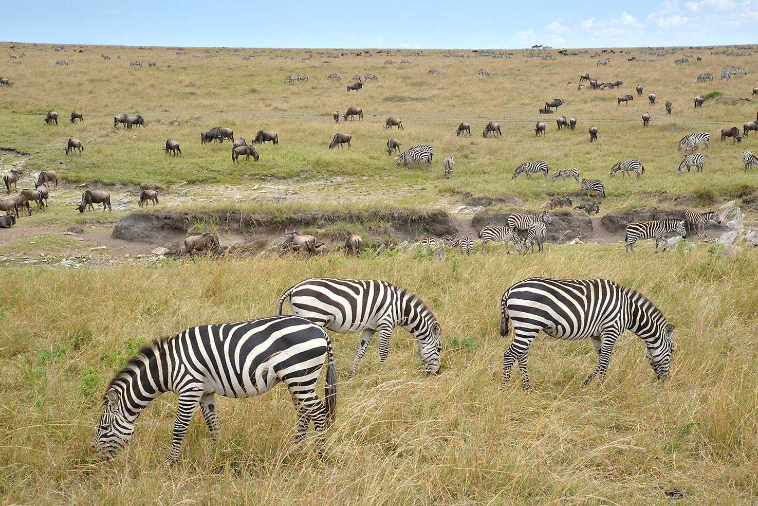 123 Masai Mara 2
