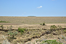 022 Masai Mara 2