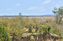 053 Masai Mara 2