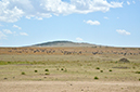 023 Masai Mara 2