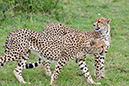 139 Masai Mara 2