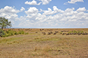 097 Masai Mara 2