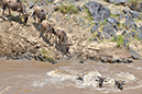 082 Masai Mara 2