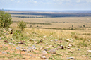 104 Masai Mara 2