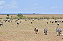 056 Masai Mara 2