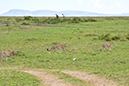 137 Masai Mara 2