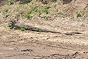 054 Masai Mara 2