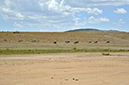 041 Masai Mara 2