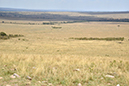 103 Masai Mara 2