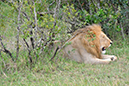 146 Masai Mara 2