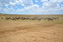 078 Masai Mara 2