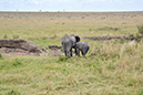 127 Masai Mara 2