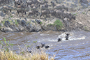 070 Masai Mara 2