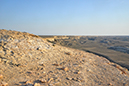 59 Aral
