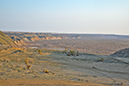 46 Aral