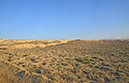 55 Aral