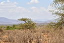 010 Samburu