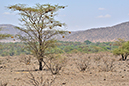 016 Samburu