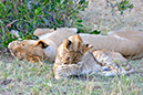 022 Masai Mara 1