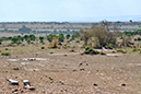 016 Masai Mara 1