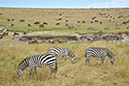 123 Masai Mara 2